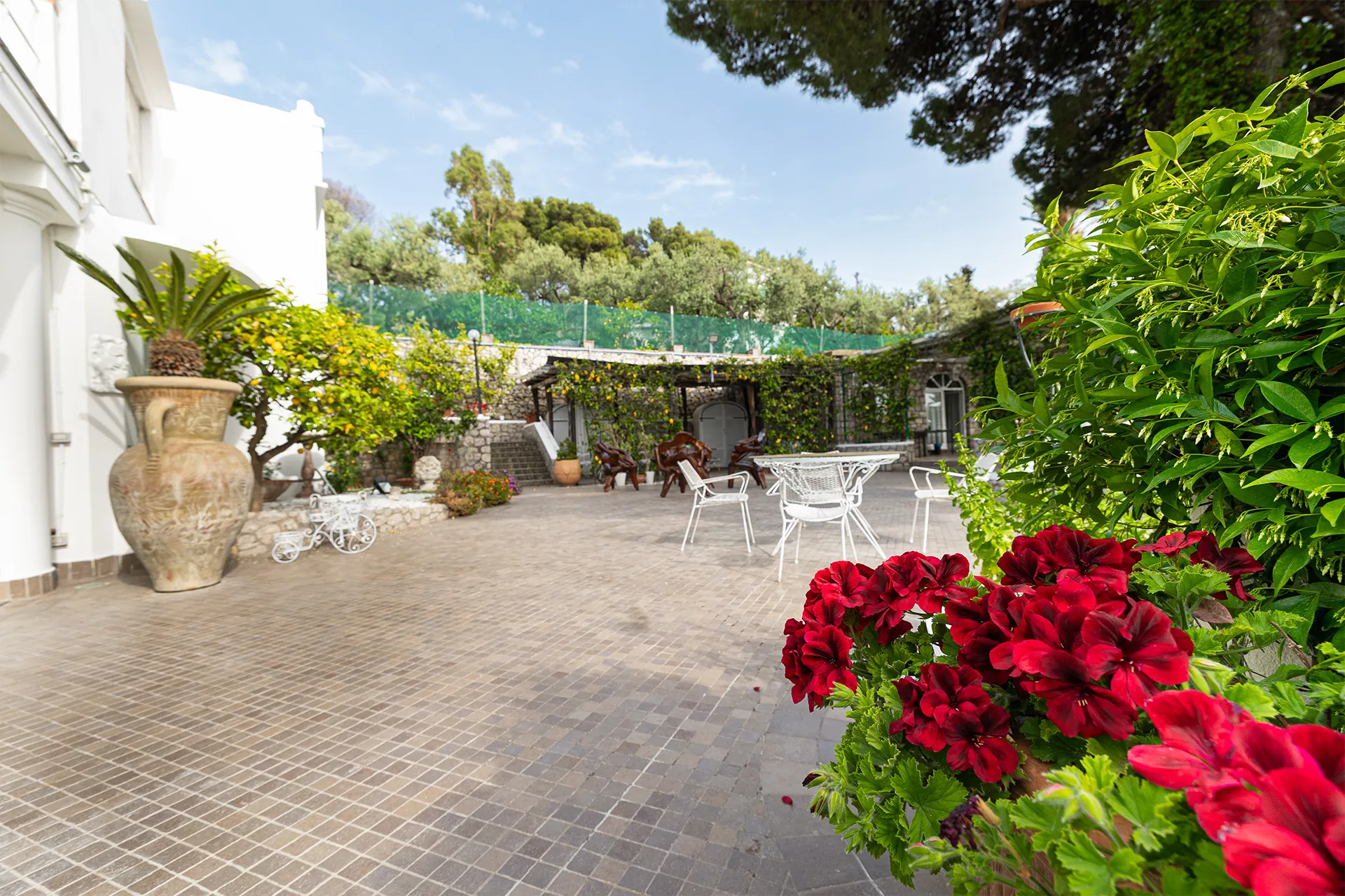 capri-ville-eden-img11