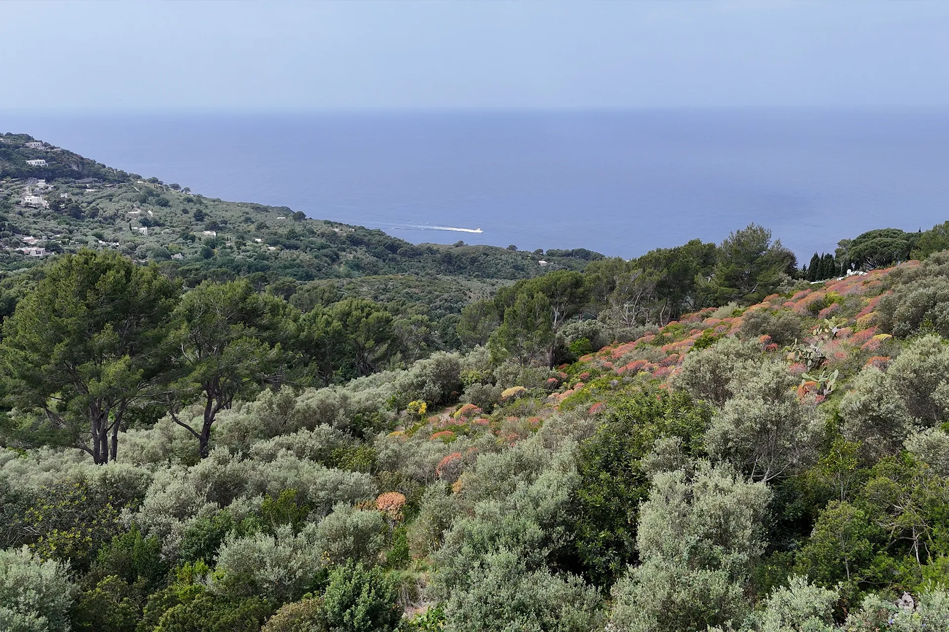capri-ville-solaro-esterni-19